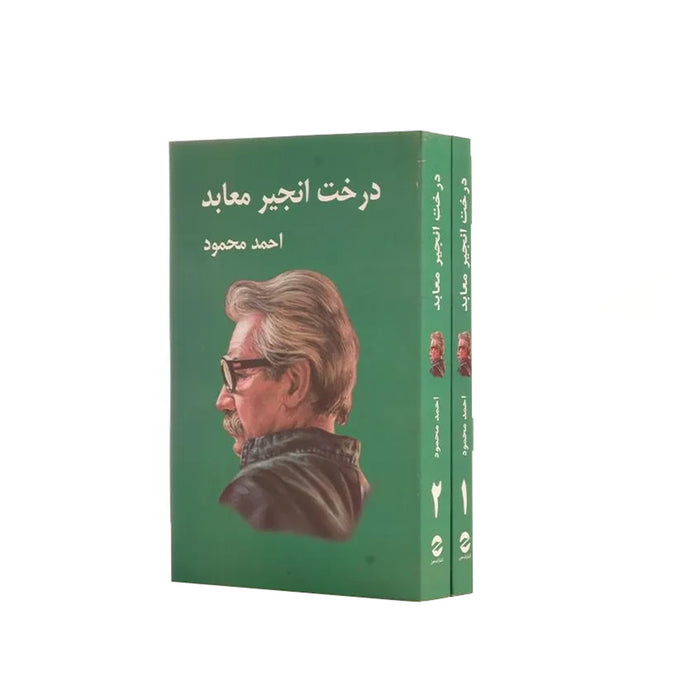 Book - Fig tree temples (درخت انجیر معابد نوشته احمد محمود)