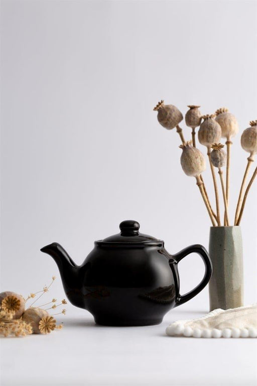 Price & Kensington - CLASSIC Teapot 2cup Black 450ml/15oz